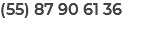 (55) 87 90 61 36 